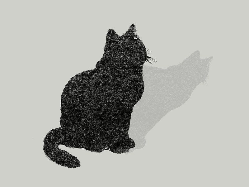 Chat à pois par QEIMOY