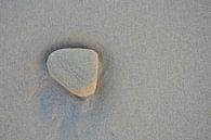 Steen op het strand van Dustin Musch thumbnail