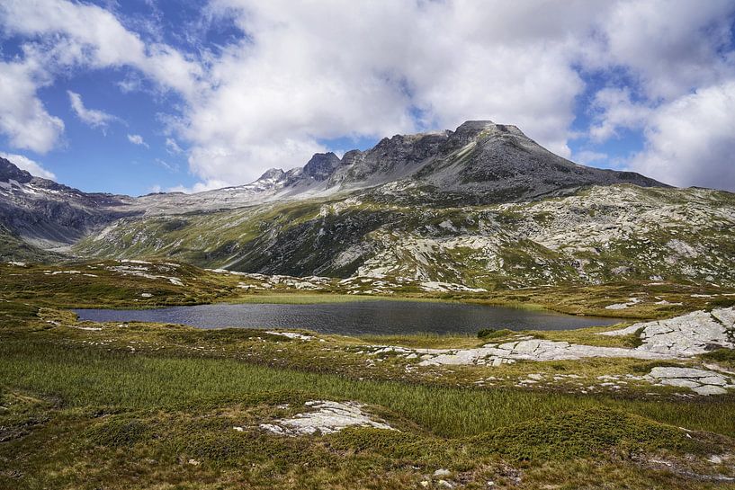 Spektakuläre Schweizer Alpenlandschaft mit Gletscher – kraftvolle Bergwelt, strahlendes Eis und beeindruckende Hochgebirgsatmosphäre. Ein starkes Motiv für echte Alpinliebhaber. von Miriam Schwarzfischer Fotografie