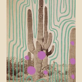 Collage art print with vintage analogue photo of a cactus by Renske