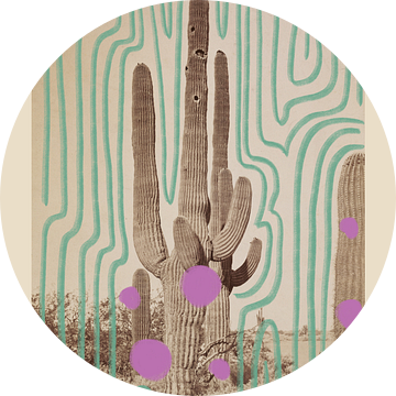 Collage print met vintage cactus foto (gezien bij vtwonen) van Renske