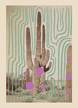 Collage art print with vintage analogue photo of a cactus