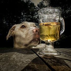 Diner by Juliën van de Hoef