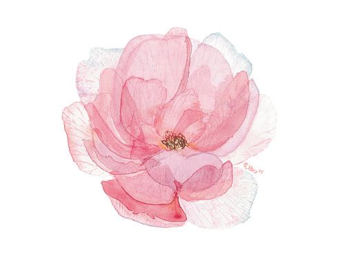 Blush Pink Peony – Handgeschilderde minimalistische aquarelbloemenillustratie van Chrz - AquaPixelFusion