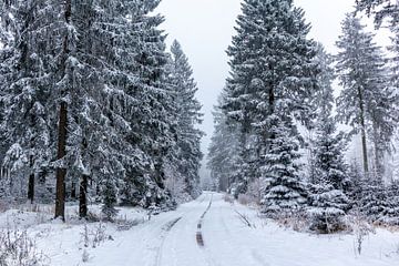 Winter ontdekkingstocht door het Thüringer Woud van Oliver Hlavaty