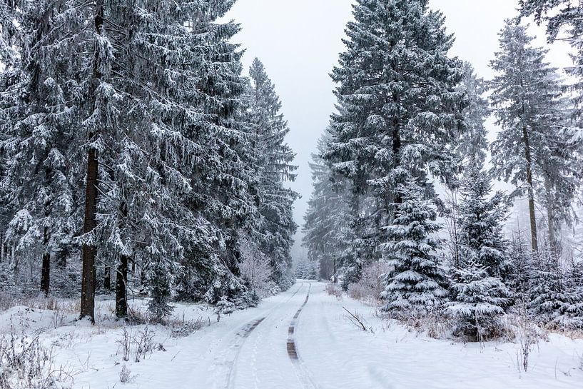 Winterliche Entdeckungstour durch den Thüringer Wald von Oliver Hlavaty