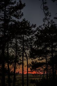 Zonsondergang op Terschelling - zicht vanuit het bos van Lydia