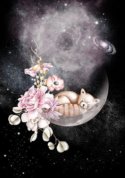 De kleine panda droomt van de maan van Lucia