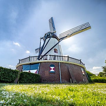 Jan van Cuijk molen op een zomerdag met tegenlicht van Marijke Veltmaat
