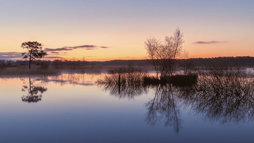 Holtveen Drenthe by Marga Vroom