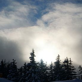 Zonsondergang vanuit Skijuwel Alpbachtal-Wildschönau met besneeuwde bomen (Tirol, Oostenrijk) van Kelly Alblas