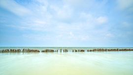 Alter hölzerner Wellenbrecher im IJsselmeer