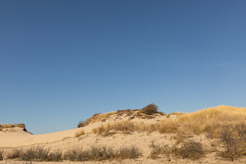 Hollands Duin