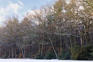 Winter in Groningen (Nederland) van Marcel Kerdijk
