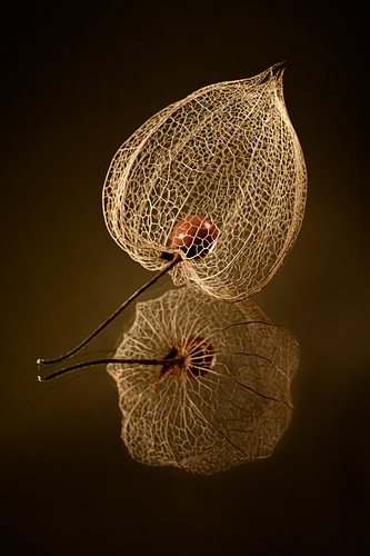 A cosy autumnal atmosphere in a minimalist still life – A golden lantern with shades of brown