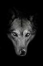 Zware muilkorf van een she-wolf van Michael Semenov thumbnail