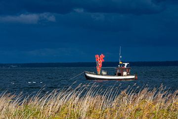 Vissersboot Reddevitz van Sven-Erik Arndt