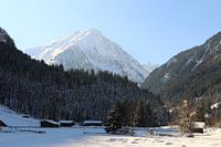 Friedvolle Winterlandschaft