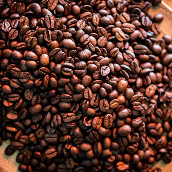 coffee beans in a pile by nick ringelberg
