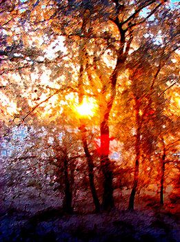 Romantische Wintersonne