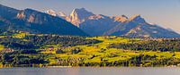 Panorama of Lake Thun in Bernese Oberland