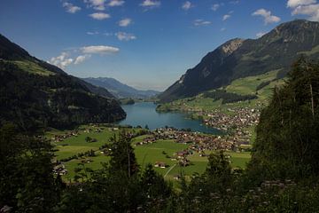 Berglandschap Zwitserland van Sasja van der Grinten