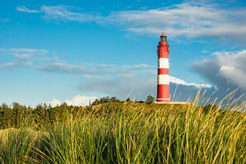 Lighthouse in the dunes of the North Sea island Amrum van Rico Ködder