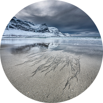 Noors fjord met strand in de winter