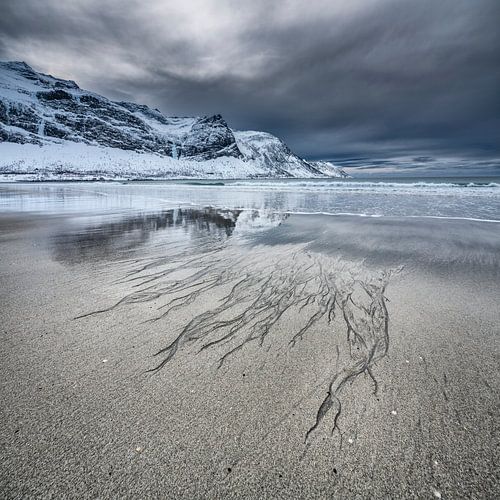 Noors fjord met strand in de winter