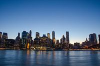 Skyline NY vanaf Brooklyn Bridge Park