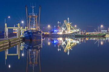 Kotter spiegeling van Jan Georg Meijer