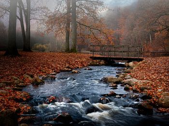 Calme et tranquille.