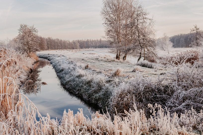 Winter wonderland by Marloes Mol