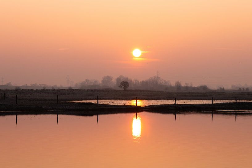 Winter heat by Richard Gouw