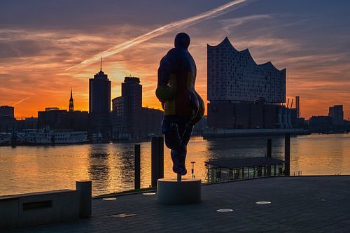 Hamburg - Zonsopgang boven de Elbe Philharmonic Hall