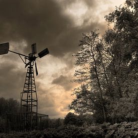 Waiting for the storm van Ed van Wageningen