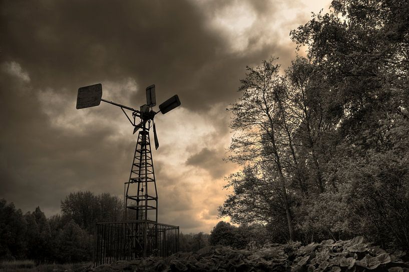 Waiting for the storm by Ed van Wageningen