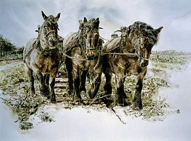 Krachtpatsers van Wim Romijn