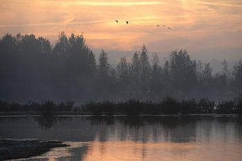 schöner sonnenaufgang , huis ter heide , tilburg
