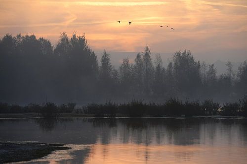 beautiful sunrise , huis ter heide , tilburg