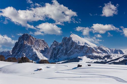 Alpe di Siusi in de Dolomieten