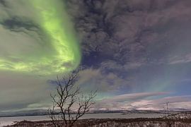 Polarlicht über Abisko – Nächtliches Leuchten im Nationalpark von Fototante