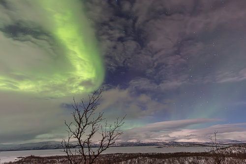 Northern lights over Abisko - Nocturnal glow in the national park