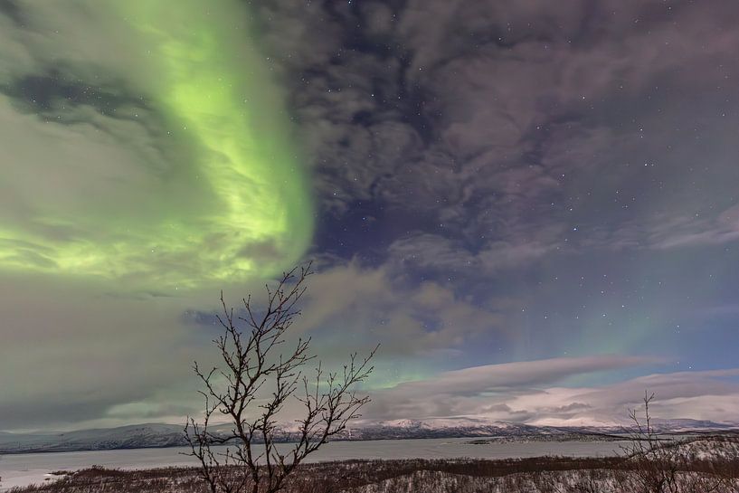 Polarlicht über Abisko – Nächtliches Leuchten im Nationalpark von Fototante