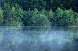 Hatertse and Overasseltse fens part 40 by Tania Perneel