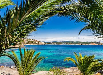 Idyllisch uitzicht op zee in Cala Fornells, baai strand Mallorca, Spanje Middellandse Zee van Alex Winter