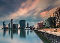 Gekleurd Rotterdam
