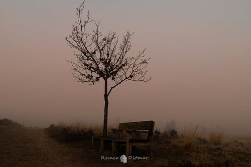 Mist bij Engertdijkervenen