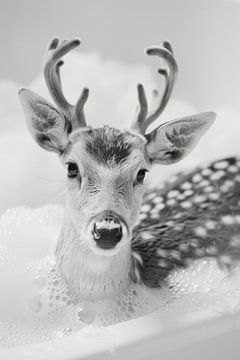 Deer in the bathroom - An enchanting bathroom picture for your WC by Felix Brönnimann