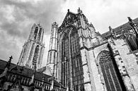 De Domtoren van Utrecht vanuit de Pandhof (landscape) van André Blom Fotografie Utrecht thumbnail
